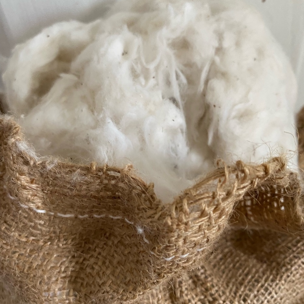 Raw Cotton - Picture 2 of 4